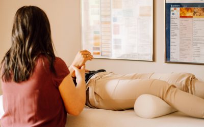 Geist-Körper-Netzwerke 1 & 2 mit Dr. Laura Stuvé  – E-Kurs zum Selbststudium