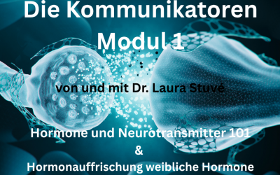 Die Kommunikatoren Modul 1 von Dr. Laura Stuvé als E-Kurs