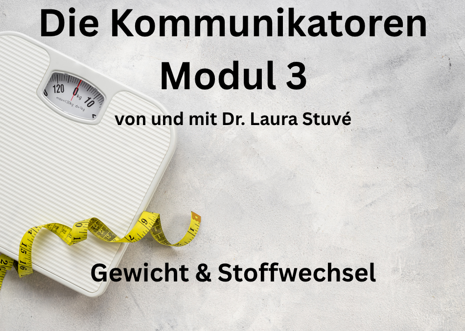 Die Kommunikatoren Modul 3 von Dr. Laura Stuvé als E-Kurs